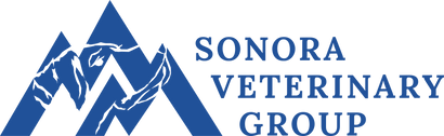 sonoravetgroup